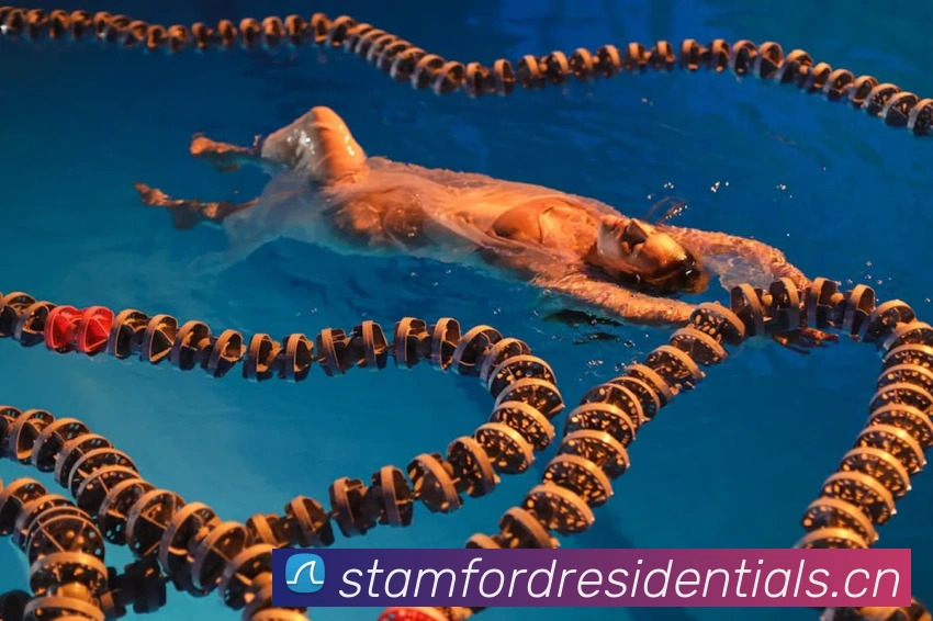 爱游戏app下载地址官网发展历程